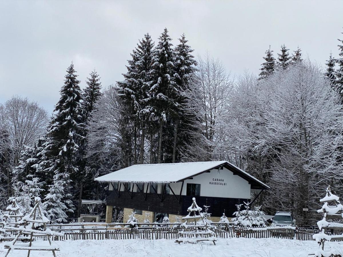 Cabana Haiducului Doftana Teşila Exterior foto