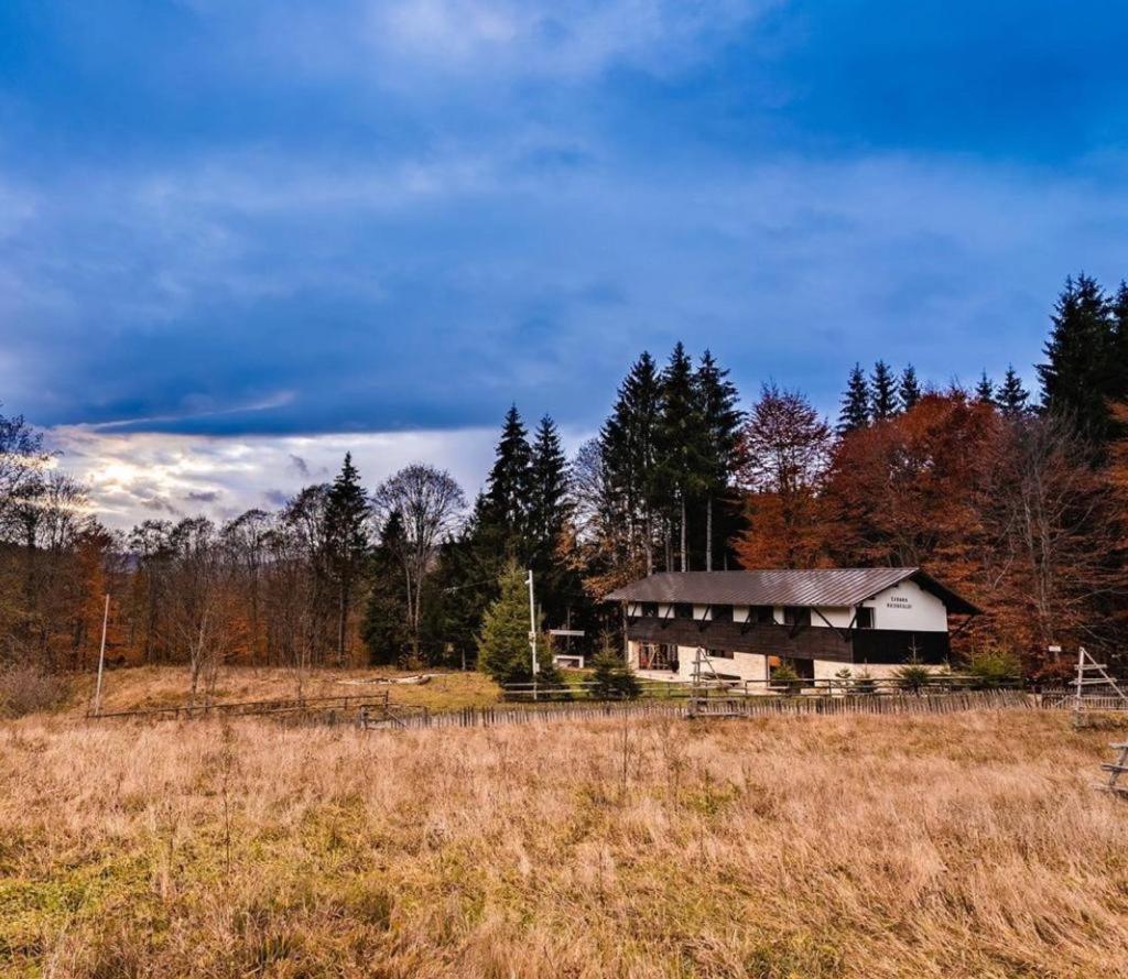 Cabana Haiducului Doftana Teşila Exterior foto