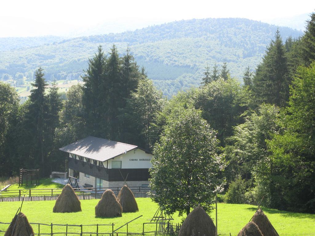 Cabana Haiducului Doftana Teşila Exterior foto